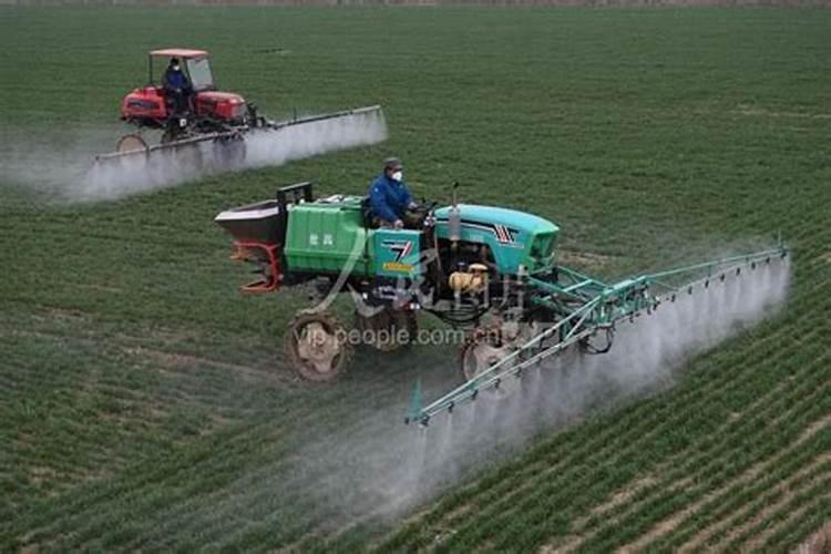 夜晚打磷酸二氢钾和膨大剂可以吗!