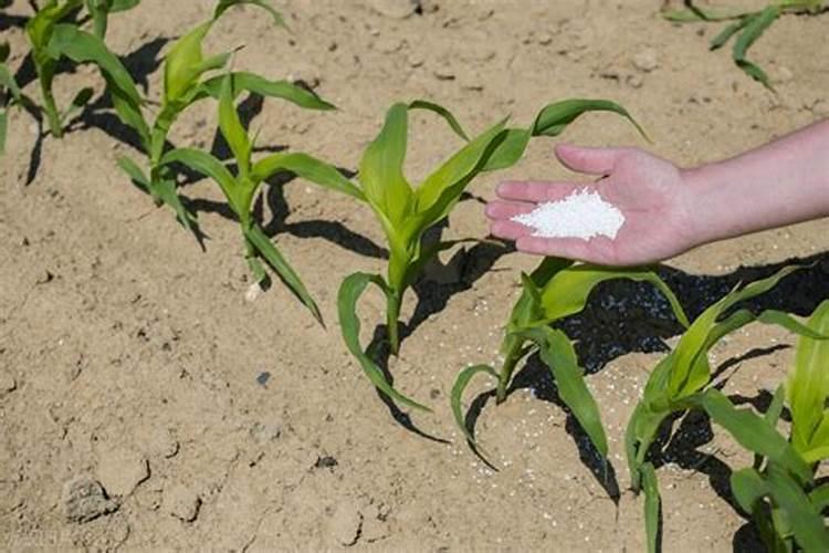 凯尔一炮轰17一20一5是复合肥吗？可用小麦地吗