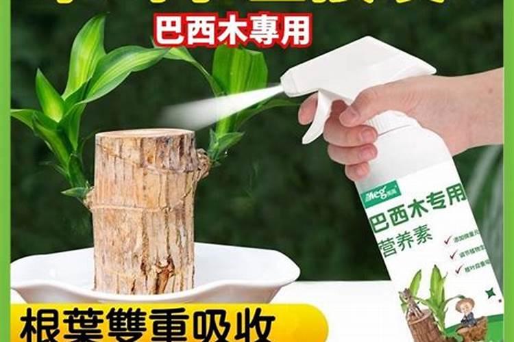 一颗番茄一次施磷酸二氢钾多少克