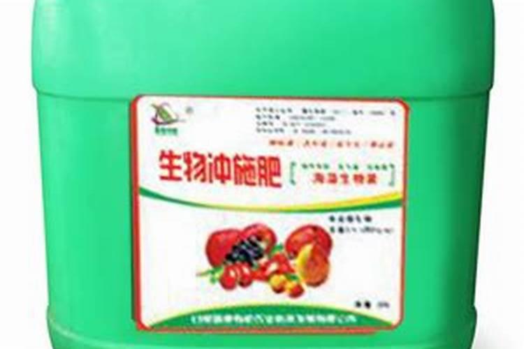 草莓种子怎么种呢