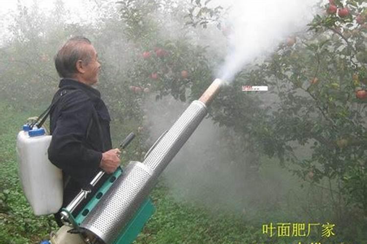 缅甸柚木的优缺点是什么