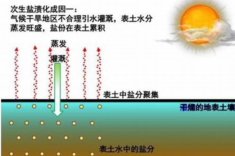 中化化肥有几个生产厂家