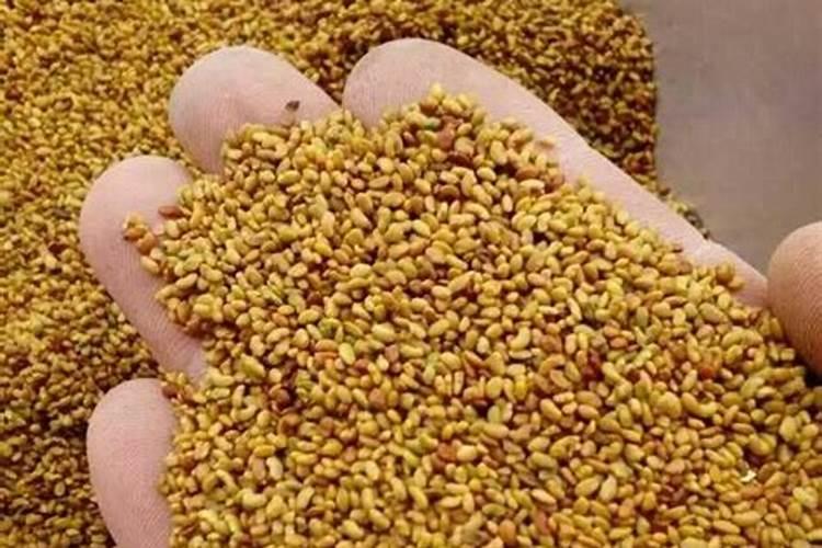 氮肥有哪些种类