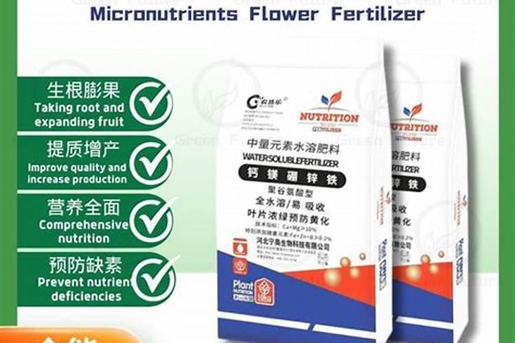 一串红黄叶子应加什么肥