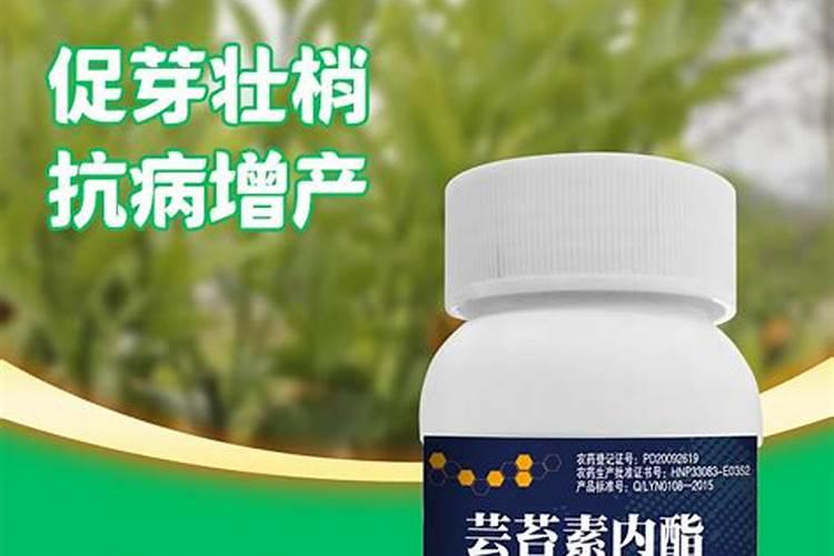 硕丰481芸苔素哪家的好