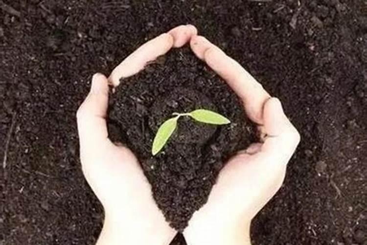 矿源黄腐酸钾的效果是什么？应该如何使用？