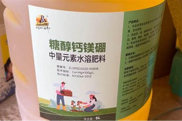 解决作物缺钙难题!这样补钙效果好
