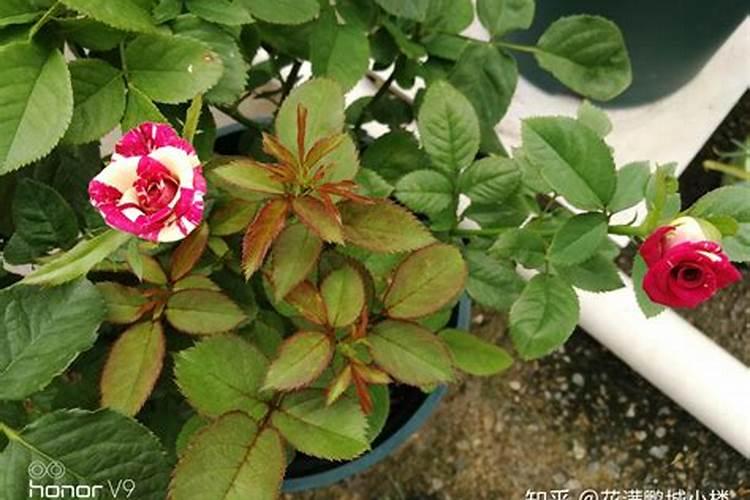 鞍山有哪些专业市场