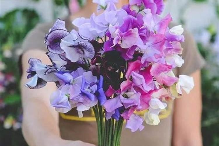 磷酸二氢钾能不能打豌豆,有哪些需要注意的呢？