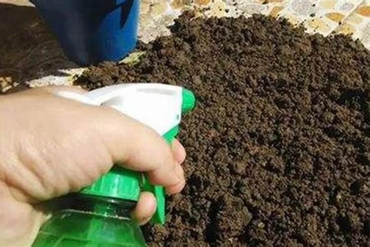 土壤杀菌消毒用什么药