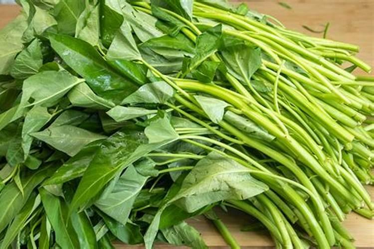 种植空心菜应该如何施肥？空心菜高产施肥技术!