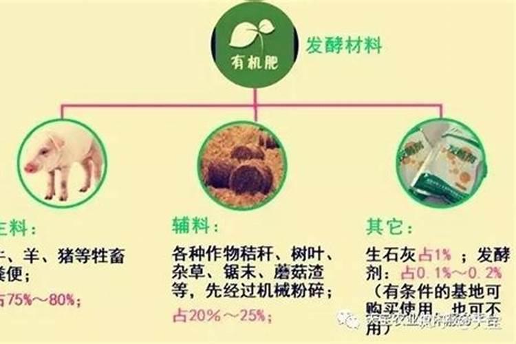 种植高粱用什么化肥