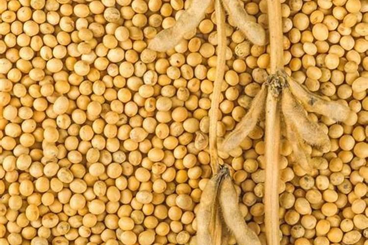 大豆种植需要施什么肥料？
