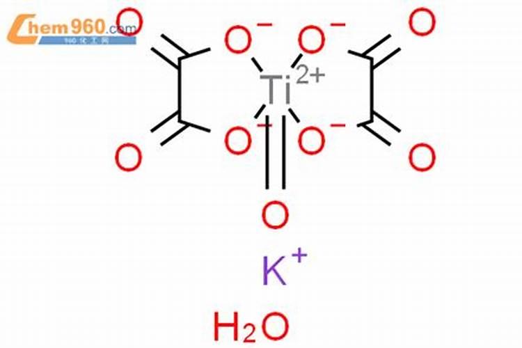 六月管理山茶花需要注意什么？