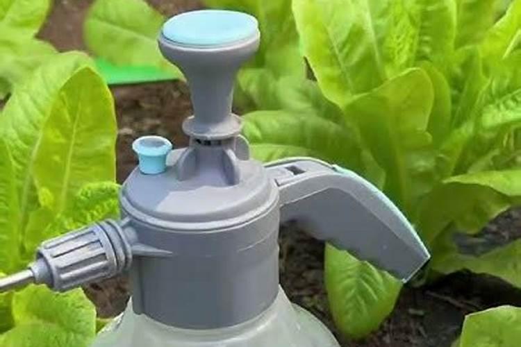 怎么样把玉米当肥料的使用到地里？