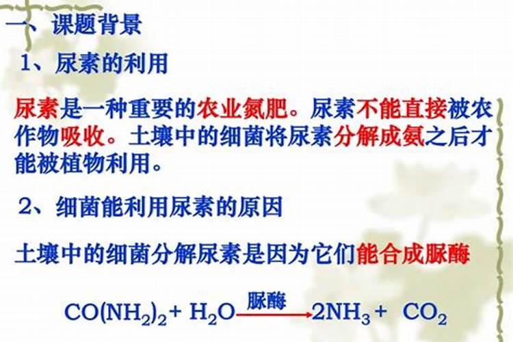 1斤尿素等于多少个氮肥