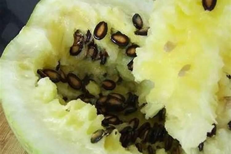 油菜硼肥的最佳使用时期和用量