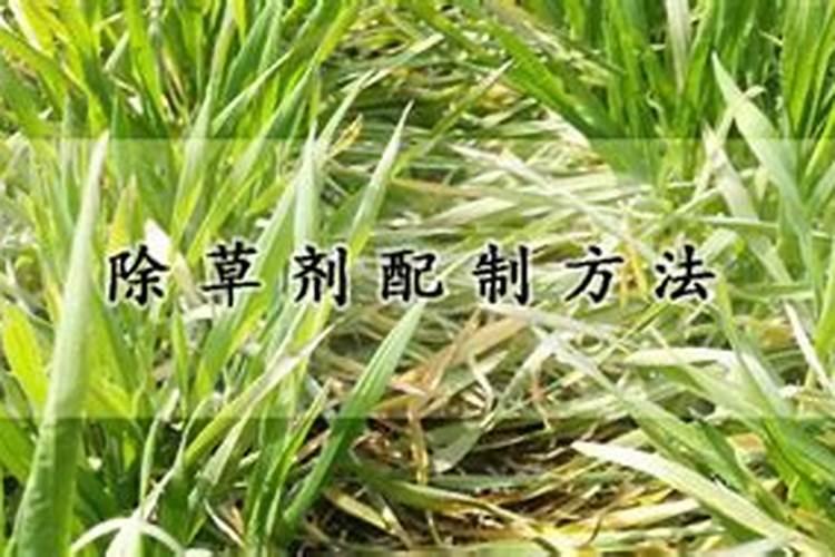 你知道芋头什么时候施肥比较好吗？