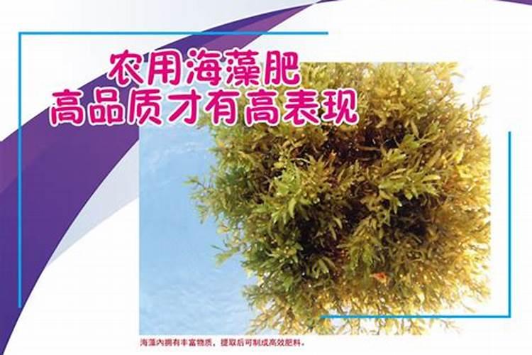 西红柿长多高时再追肥施什么肥