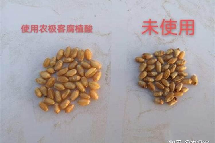 nh4cl在农业上的用途