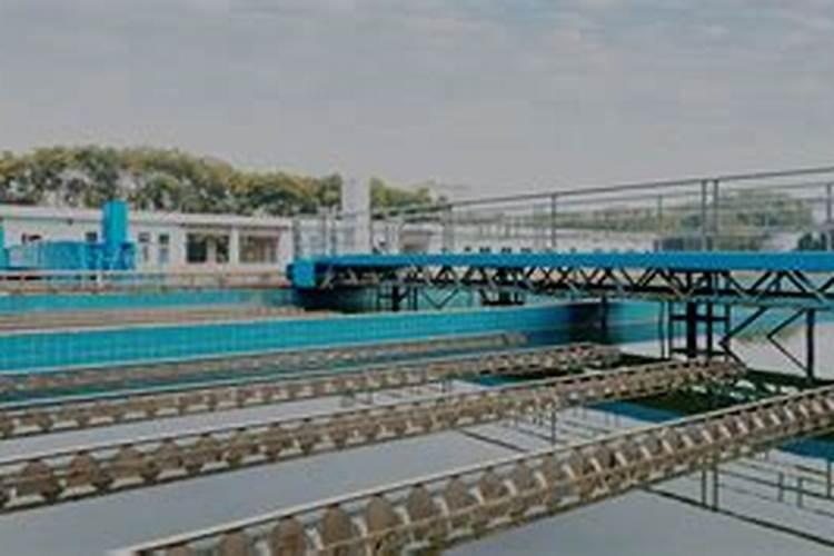 大量元素水溶肥知名品牌有哪些？