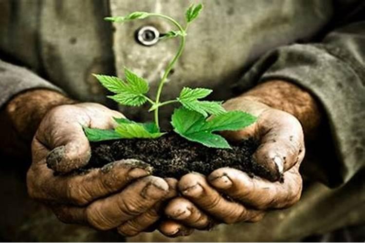 黄腐酸和腐殖酸的区别