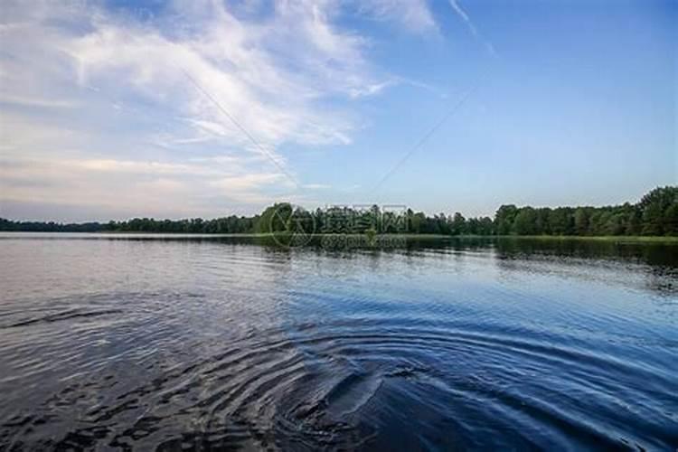 枇杷树施什么肥料？水溶肥怎么用