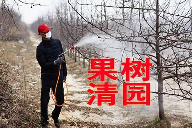 水稻什么时候施钾肥,钾肥对水稻的作用