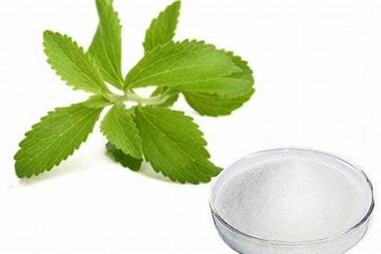 草莓移栽后怎么浇水