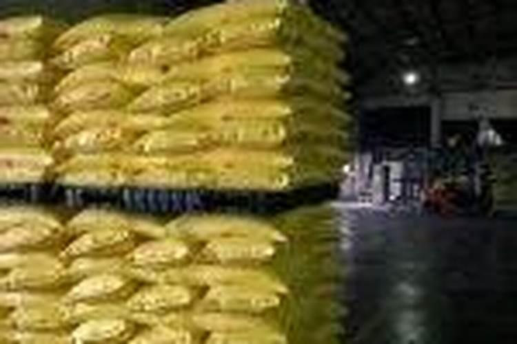 硼肥的最佳使用时期