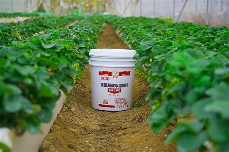 腐植酸螯合肥比普通肥料好在哪里？