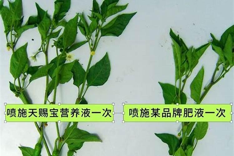 广东裕润智慧农业科技有限公司怎么样？