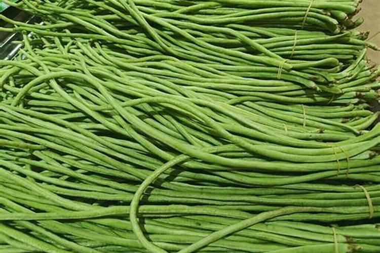 水稻穗肥用什么钾肥好