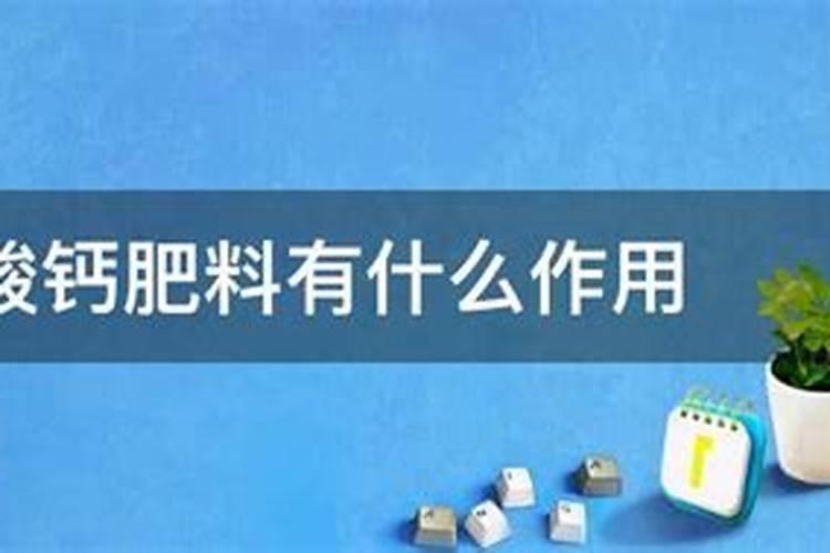 夏天最适合种的蔬菜来了!天越热长得越好,家庭露地都能种!