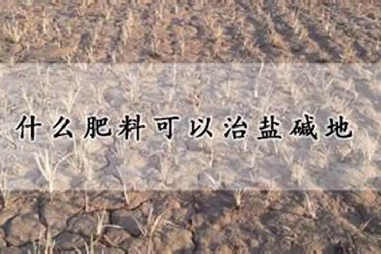 西瓜坐瓜灵涂抹瓜的瓜柄的时候从哪个位置