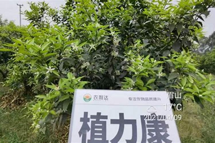 钙肥怎么改良土壤酸性