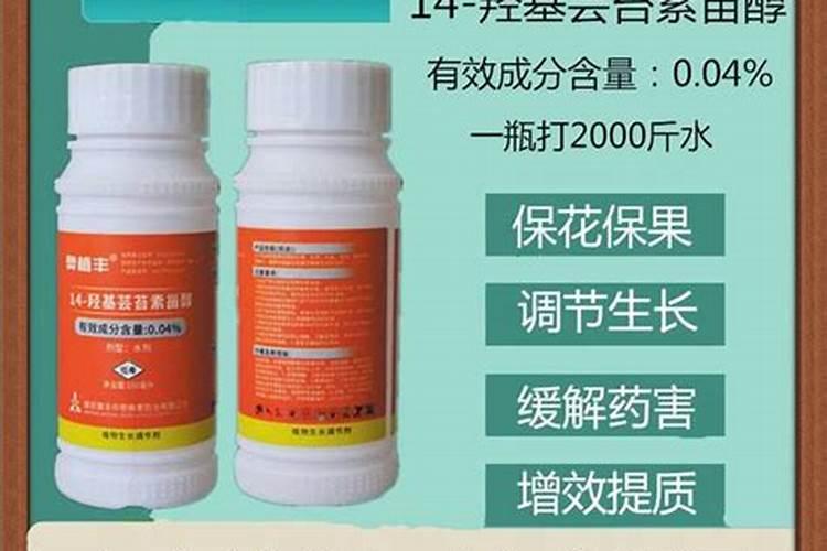 烟台宝林果都肥业有限公司怎么样？