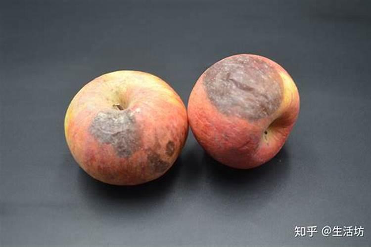 晚碰柑子重庆那个地方最多