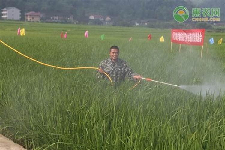 全国 一亩水稻平均【氮磷钾】化肥用量是多少？？
