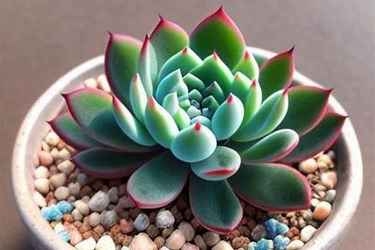 三个15的复合肥配方,适用于哪些作物