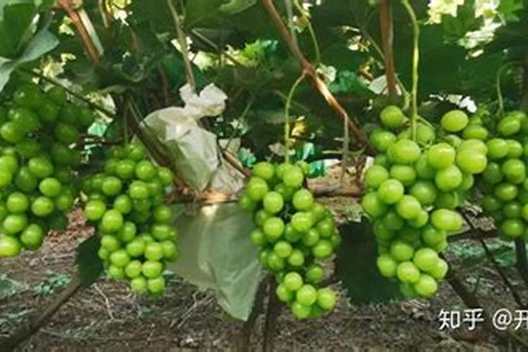 复合肥配方一览表