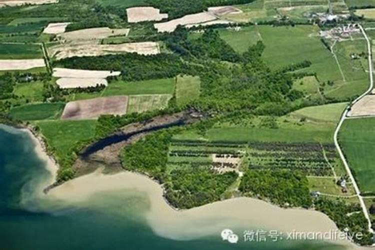 蔬菜含重金属有哪此？