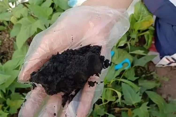 水稻后期能用钾肥吗