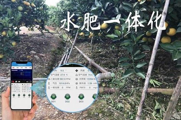 钾肥多久可以浇一次水