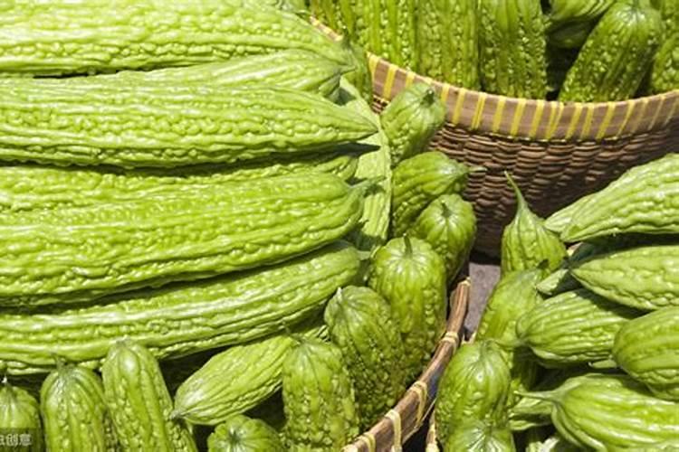 月季花施什么肥料好