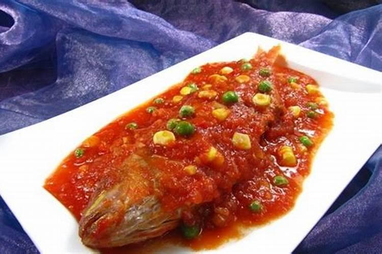 鱼蛋白肥料这么火,怎么用