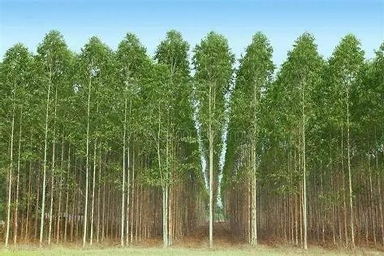 磷酸二氢钾可以和复合肥混合使用吗