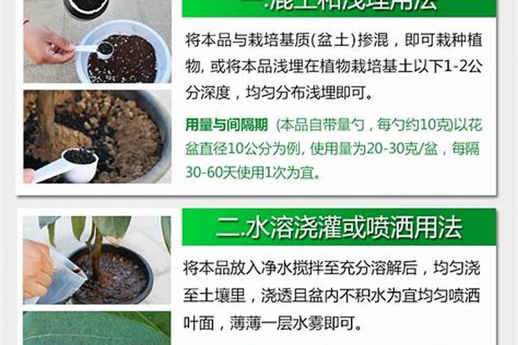 茉莉如何自制肥料