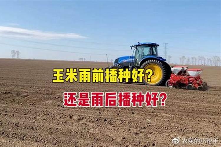 种地先播种还是先施肥