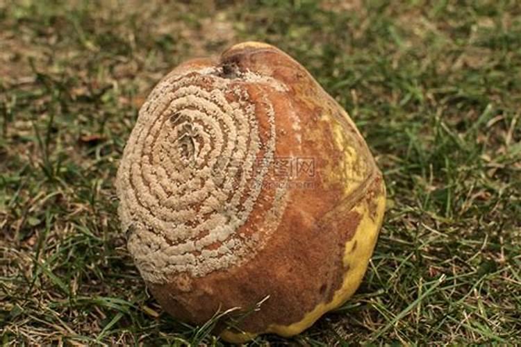 请问用青草做堆肥的工艺流程是怎样的？